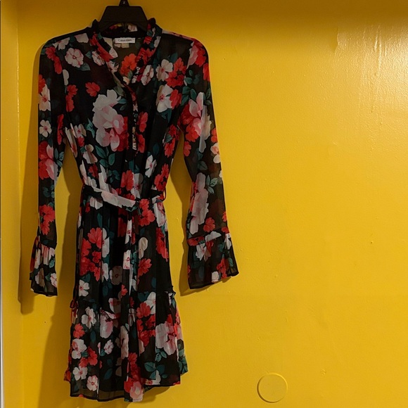 Calvin Klein Dresses & Skirts - Calvin Klein Floral Long Sleeve Dress - Black and Red